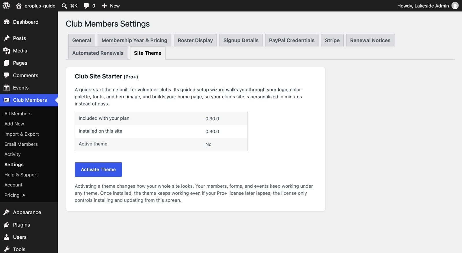 The Site Theme tab after install