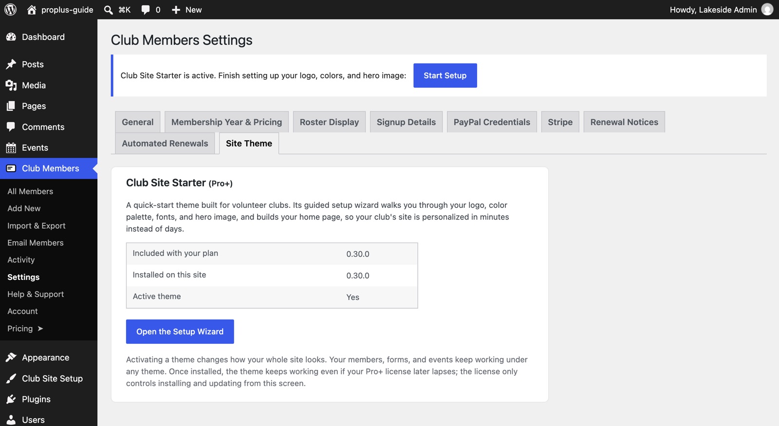The Site Theme tab with the theme active