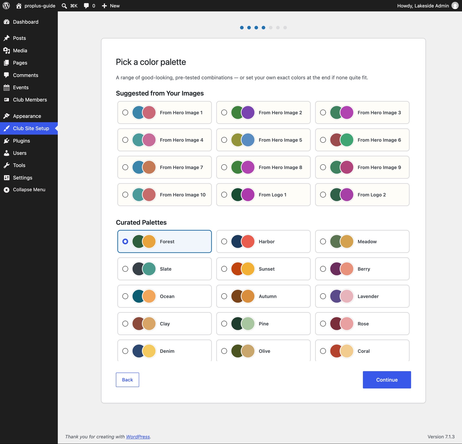 Wizard step 4 showing suggested and curated color palettes