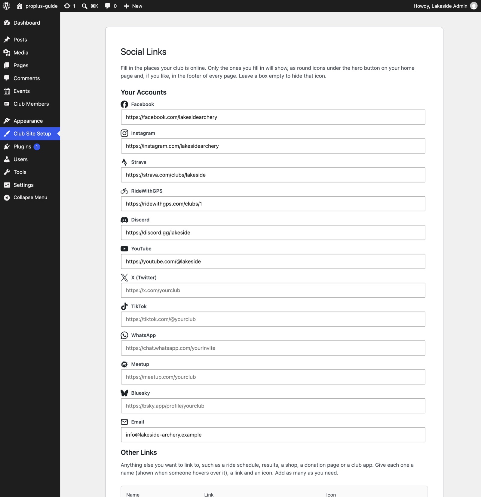 The Social Links screen with accounts filled in and two custom links